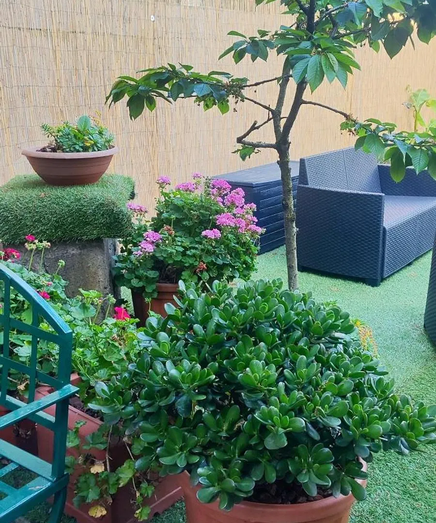 Casa Bea Apartment Santa Margherita Ligure